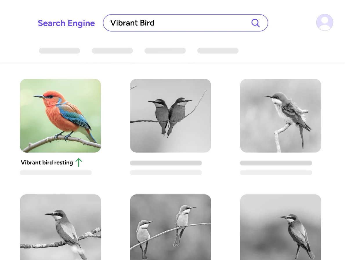 Optimize every image for search success