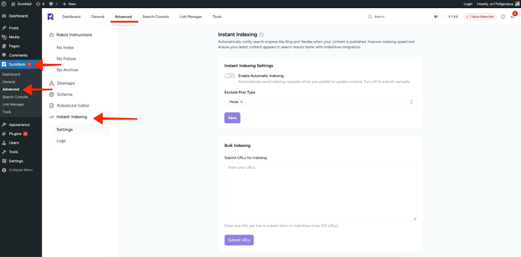 Instant Indexing section