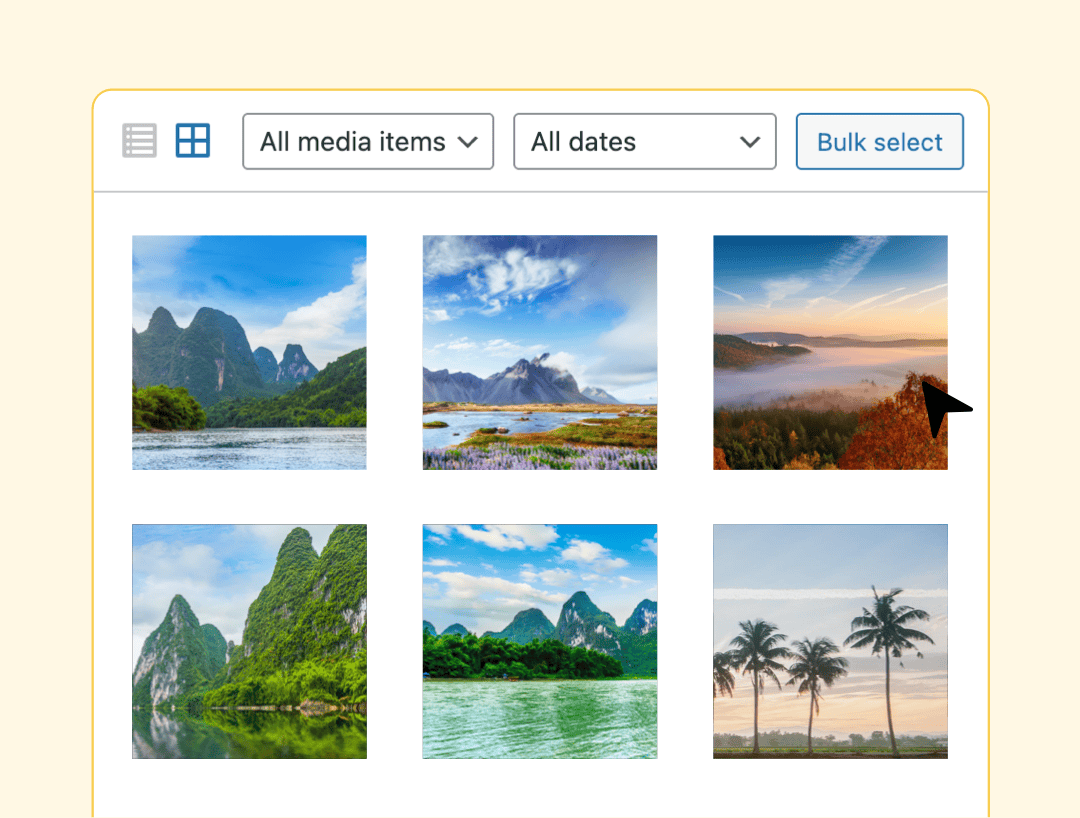 bulk image alt text bulk image alt text