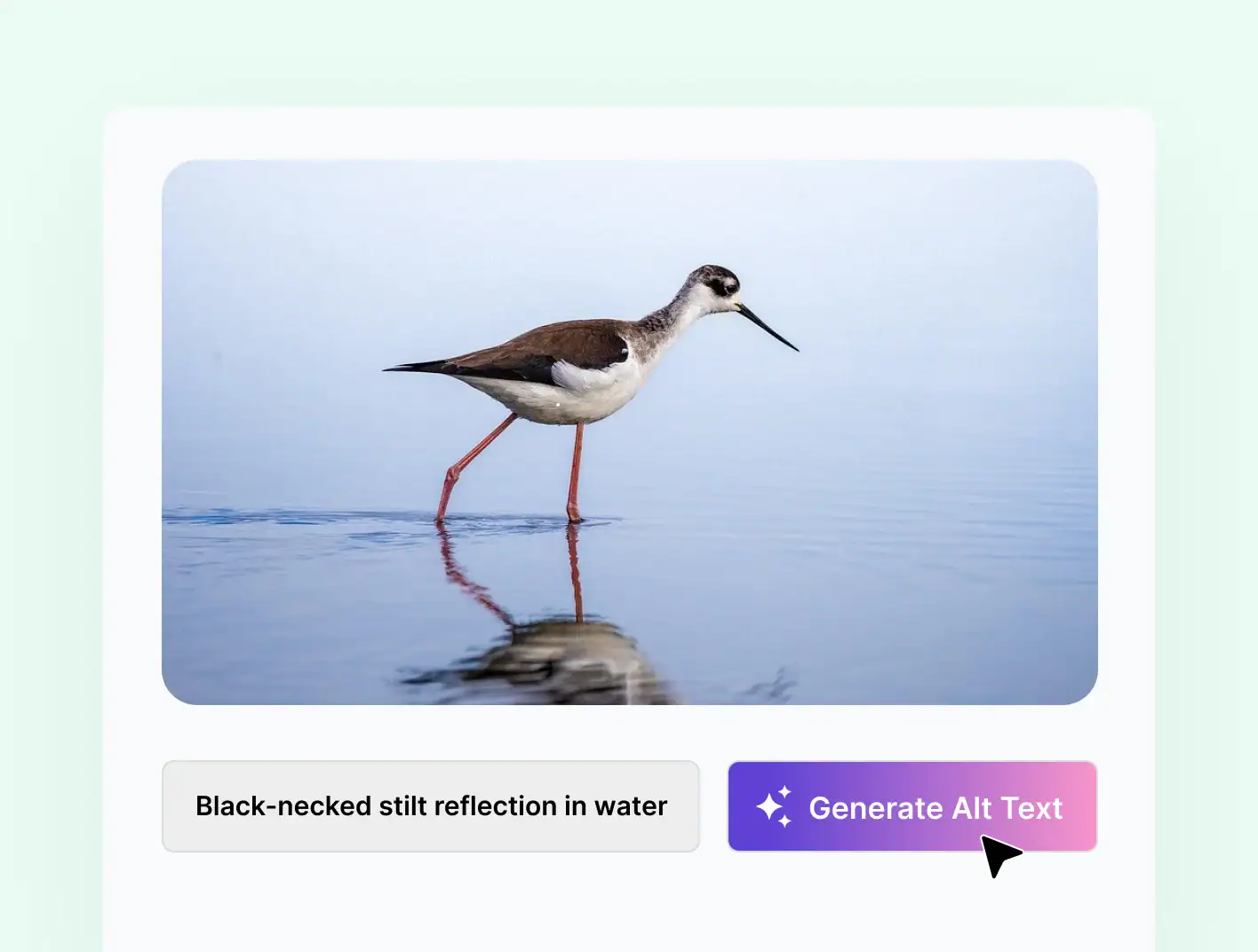 Image Seo automatic alt text,