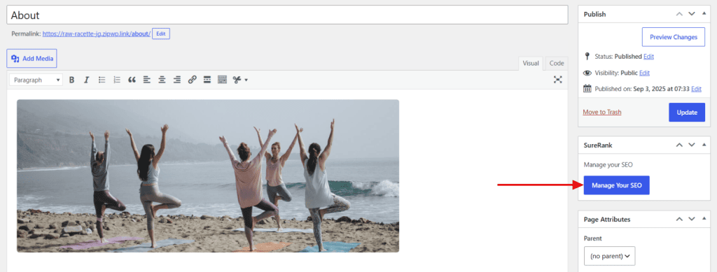 How to Edit the Meta Title and Description for a Single Page or Post image