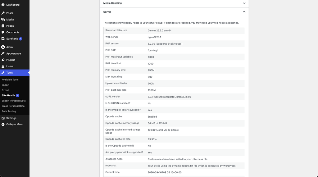 site health server info